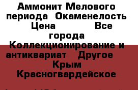 Аммонит Мелового периода. Окаменелость. › Цена ­ 2 800 - Все города Коллекционирование и антиквариат » Другое   . Крым,Красногвардейское